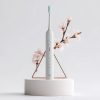 PESITRO PULSE Sonic (Electric Toothbrush)